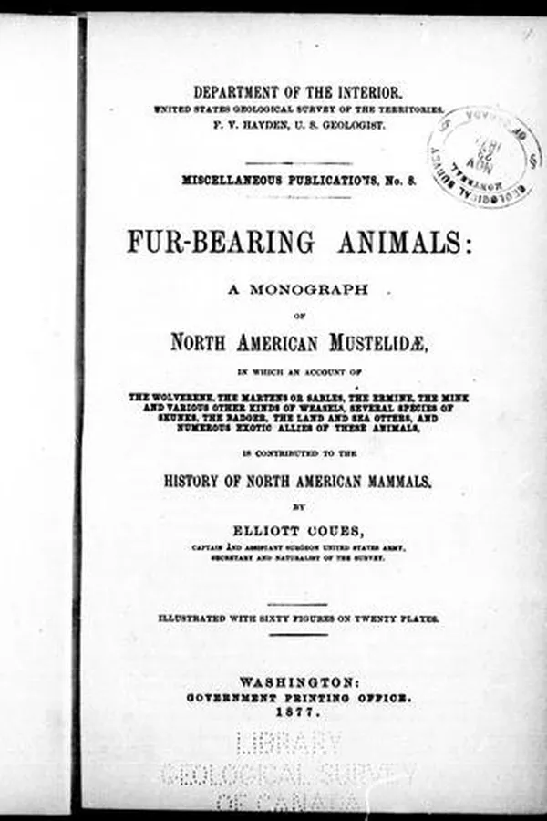 Capa de Fur-bearing animals