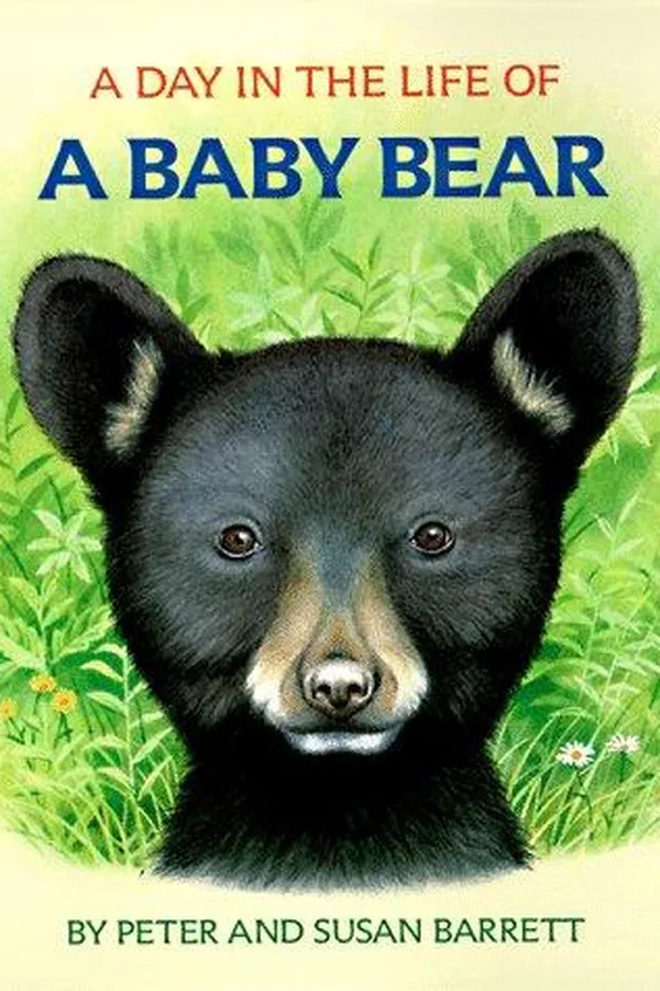 Capa de A day in the life of a baby bear