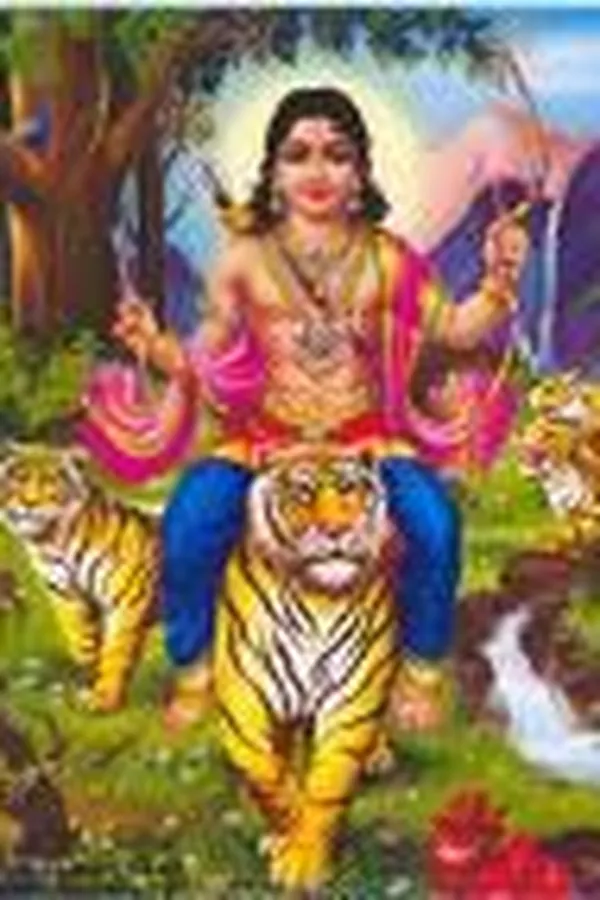 Capa de Balayogi the junior in the foot-prints of his master, Mummidivaram, Andhra Pradesh, India