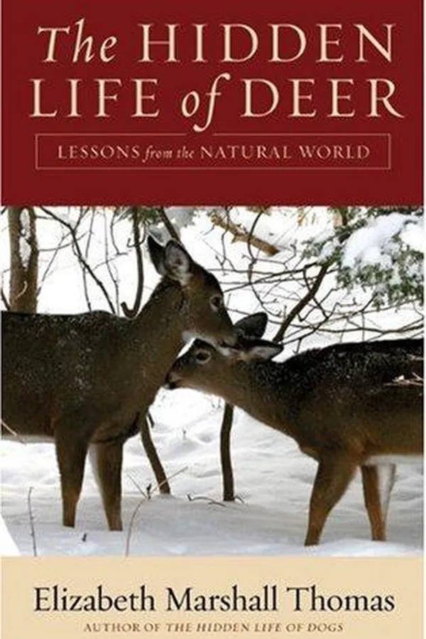 Capa de The Hidden Life of Deer