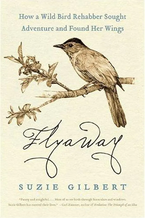 Capa de Flyaway