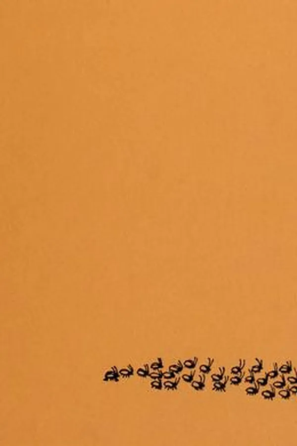 Capa de The 329th friend