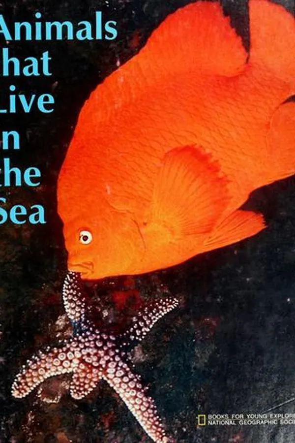 Capa de Animals that live in the sea
