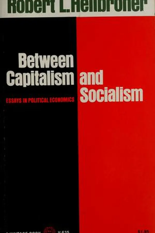 Capa de Between capitalism and socialism