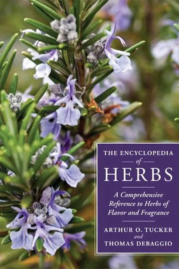Capa de The encyclopedia of herbs