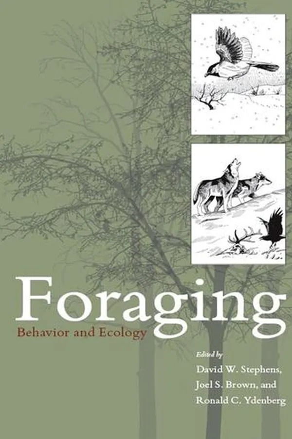 Capa de Foraging