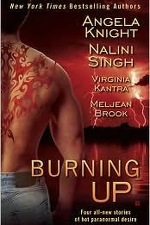 Capa de Burning Up