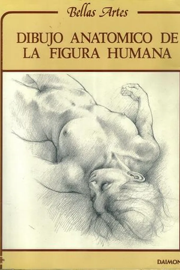 Capa de Dibujo Anatomico de La Figura Humana