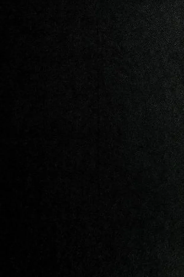 Cover of In Vivo