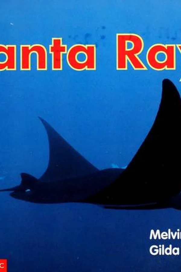 Capa de Manta rays