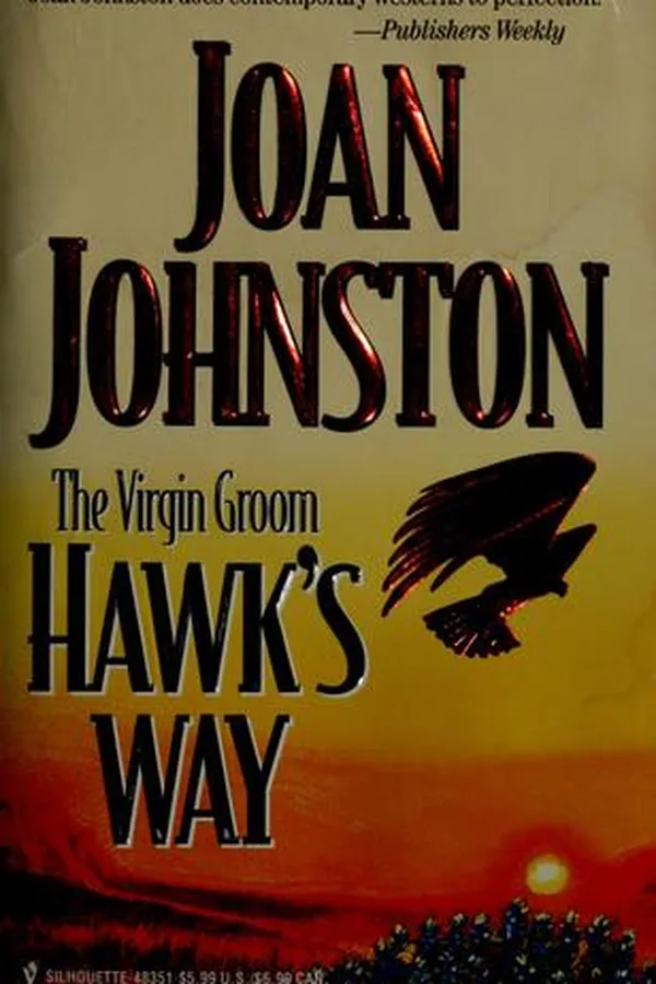 Capa de The Virgin Groom