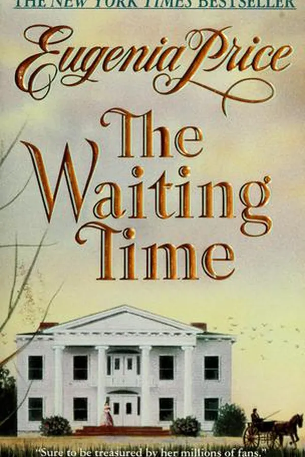 Cover of The waiting time