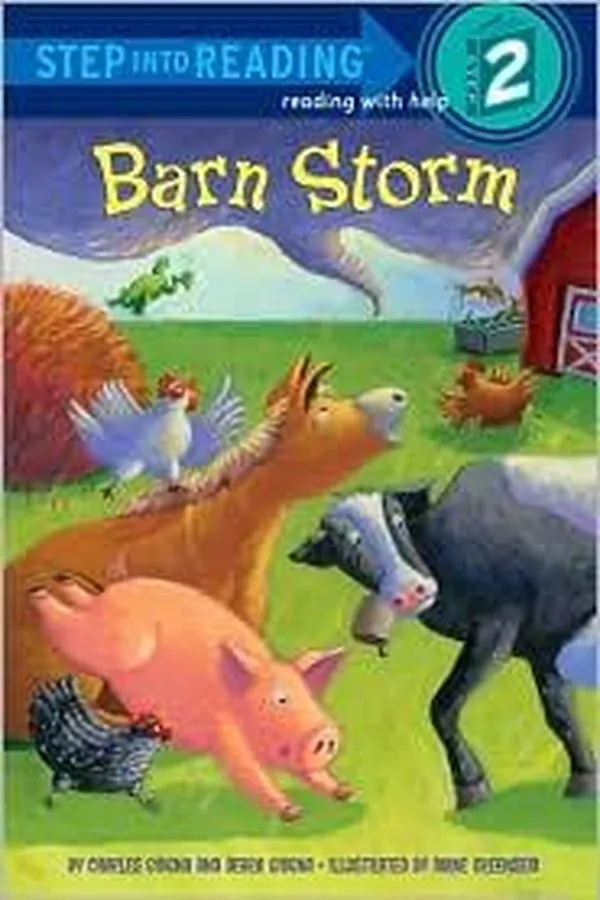Capa de Barn storm