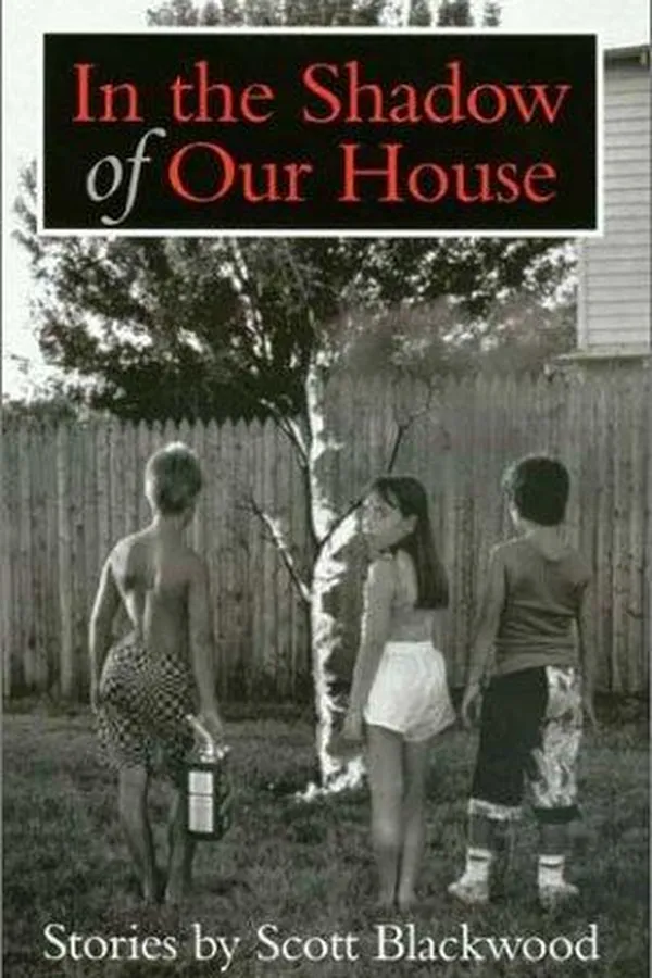 Capa de In the shadow of our house