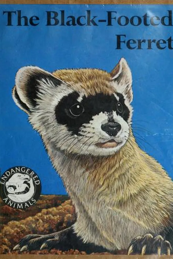 Capa de The black-footed ferret