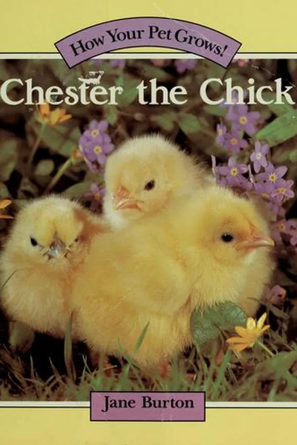 Capa de Chester the chick