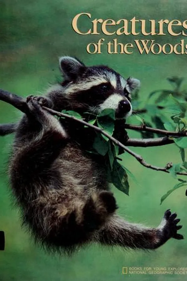 Capa de Creatures of the woods