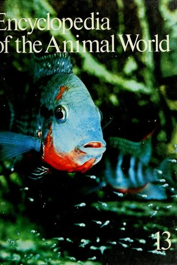 Capa de Encyclopedia of the animal world