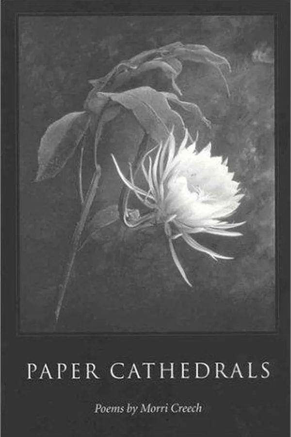 Cover of Paper Cathedrals