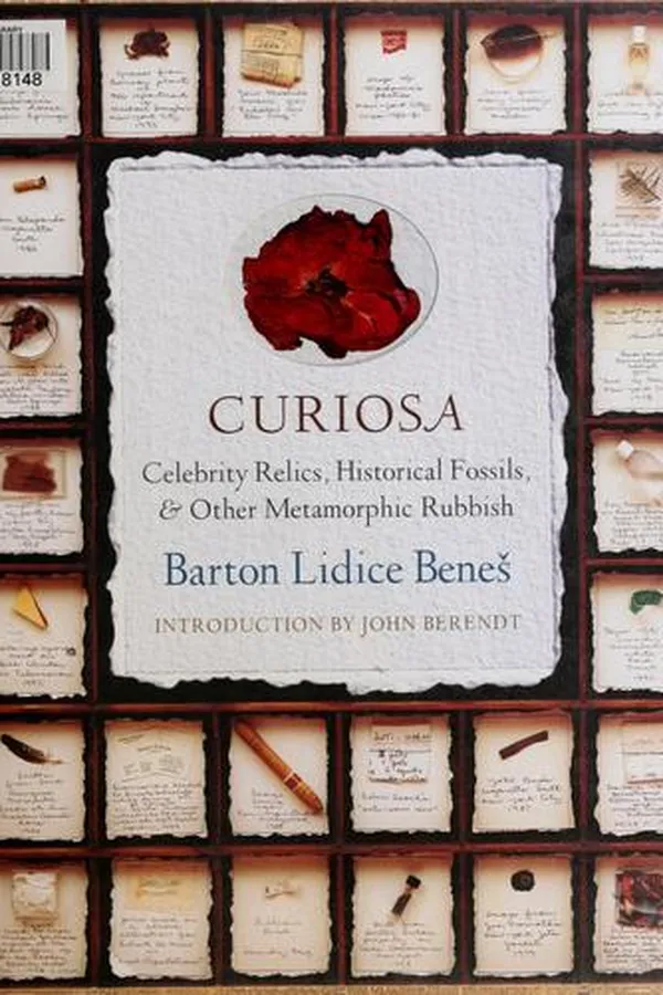 Capa de Curiosa