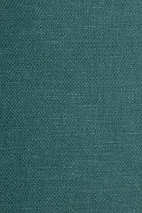 Capa de Seven modern American poets