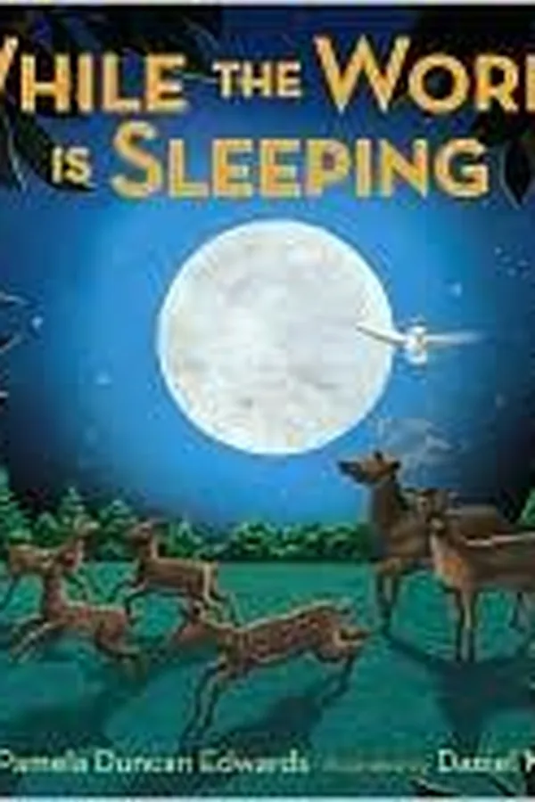 Capa de While the world is sleeping