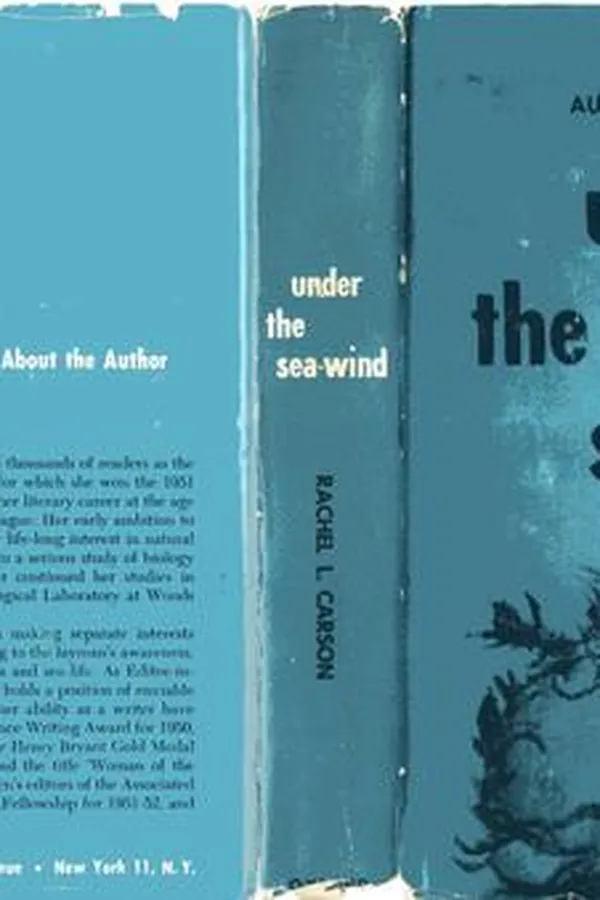 Capa de Under the sea-wind