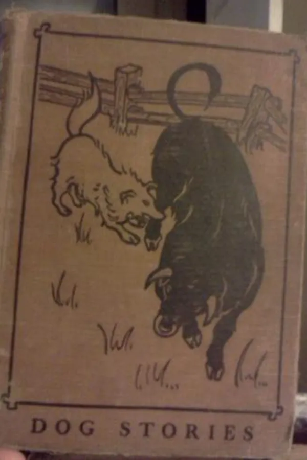 Capa de Dog stories in basic vocabulary