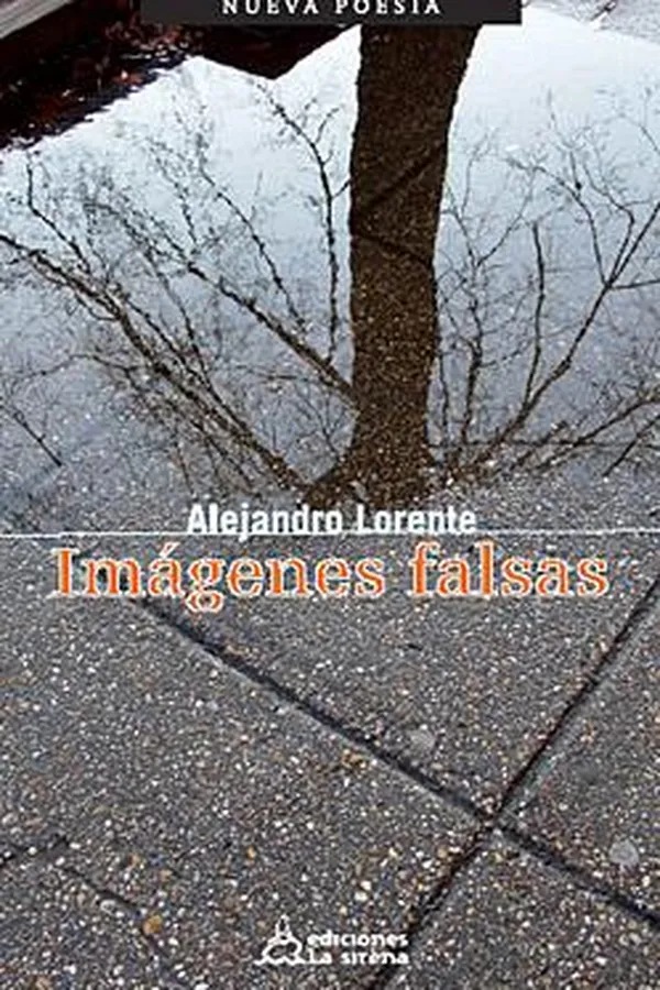 Capa de Imágenes falsas