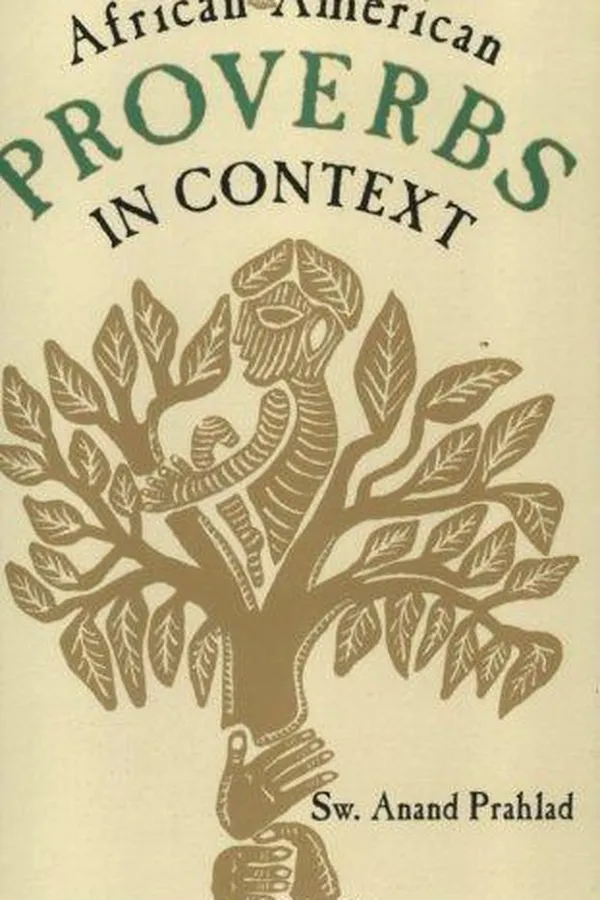 Capa de African-American proverbs in context