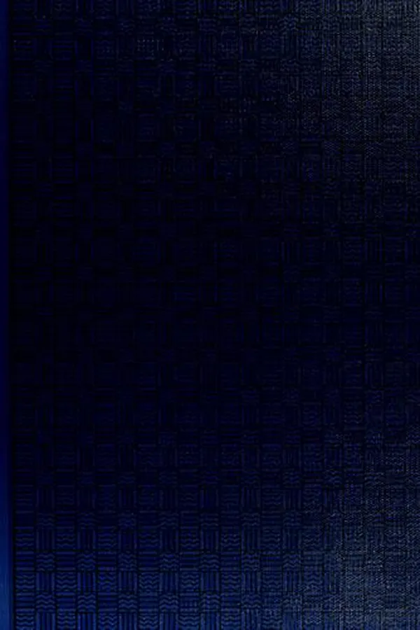 Cover of Two flags flying