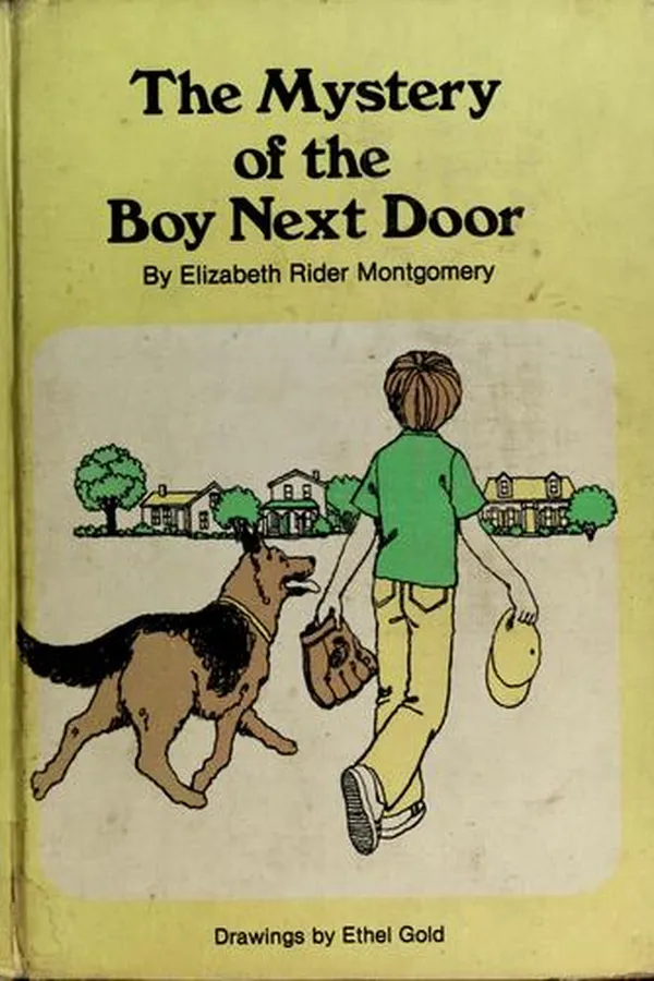 Capa de The mystery of the boy next door
