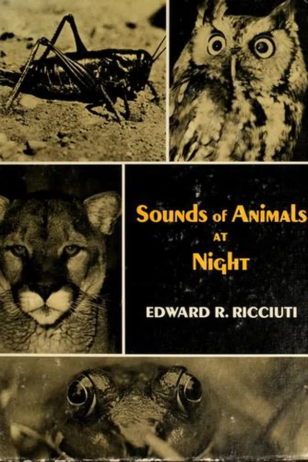 Capa de Sounds of animals at night