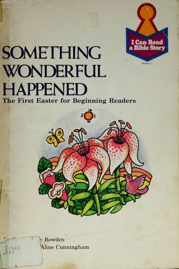 Capa de Something wonderful happened
