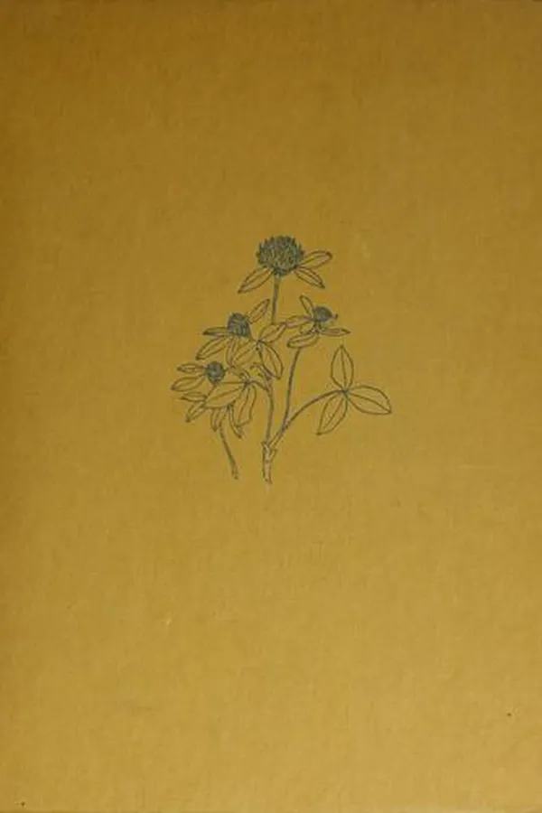 Capa de Rosachok
