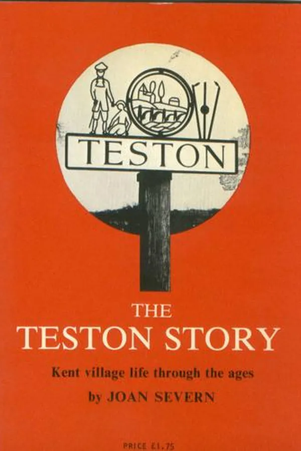 Capa de The Teston story