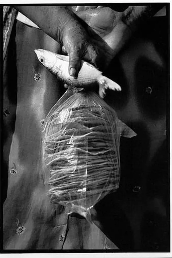 Capa de A petición del mar