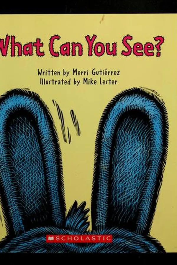 Capa de What can you see?