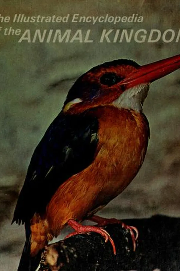 Capa de The Illustrated encyclopedia of the animal kingdom