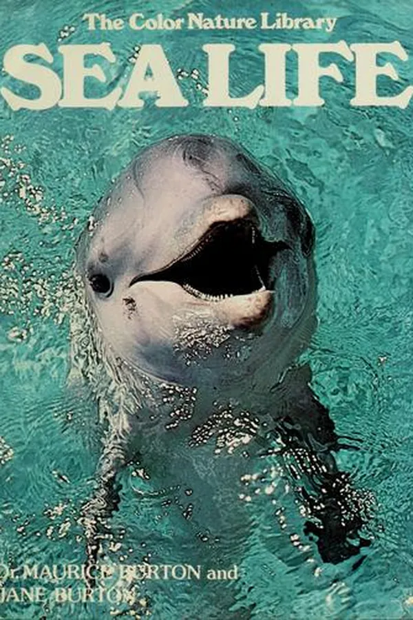 Capa de Sea life