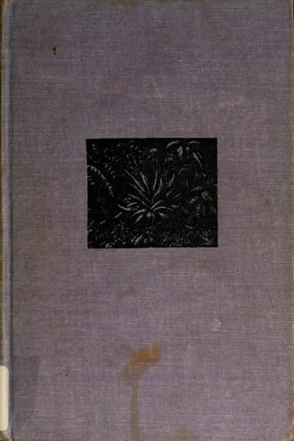 Capa de The secret in the wall