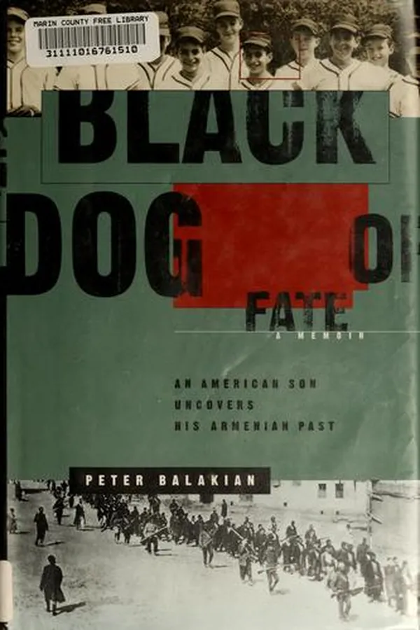 Capa de Black dog of fate