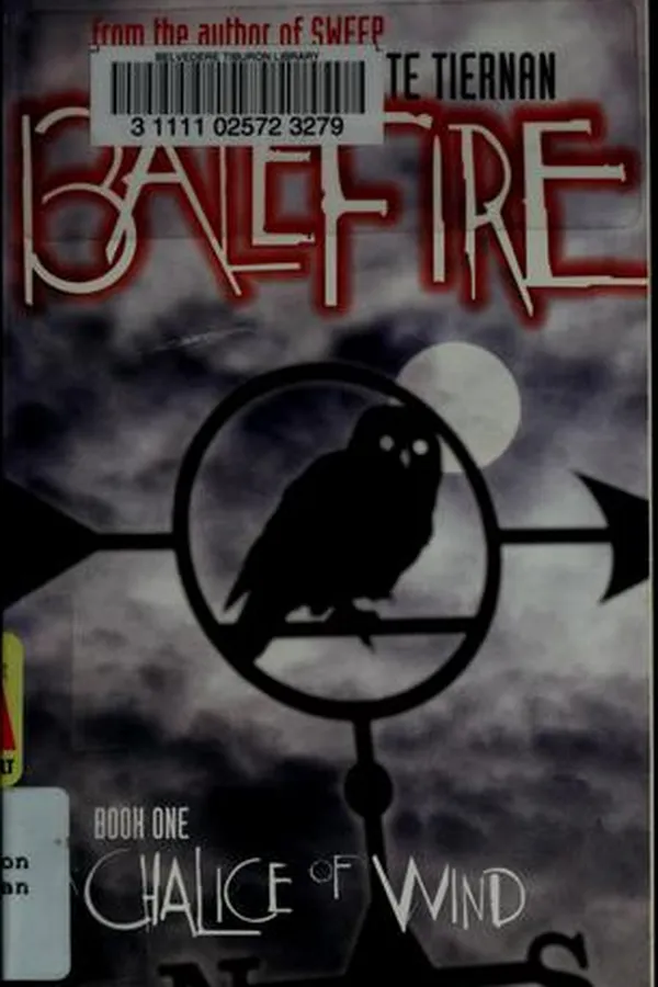 Capa de A chalice of wind