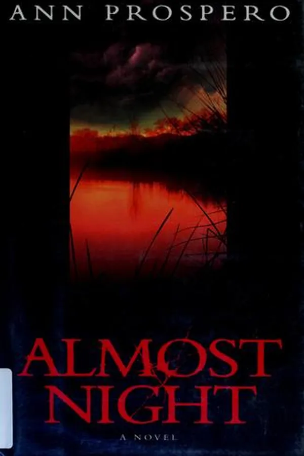 Capa de Almost night