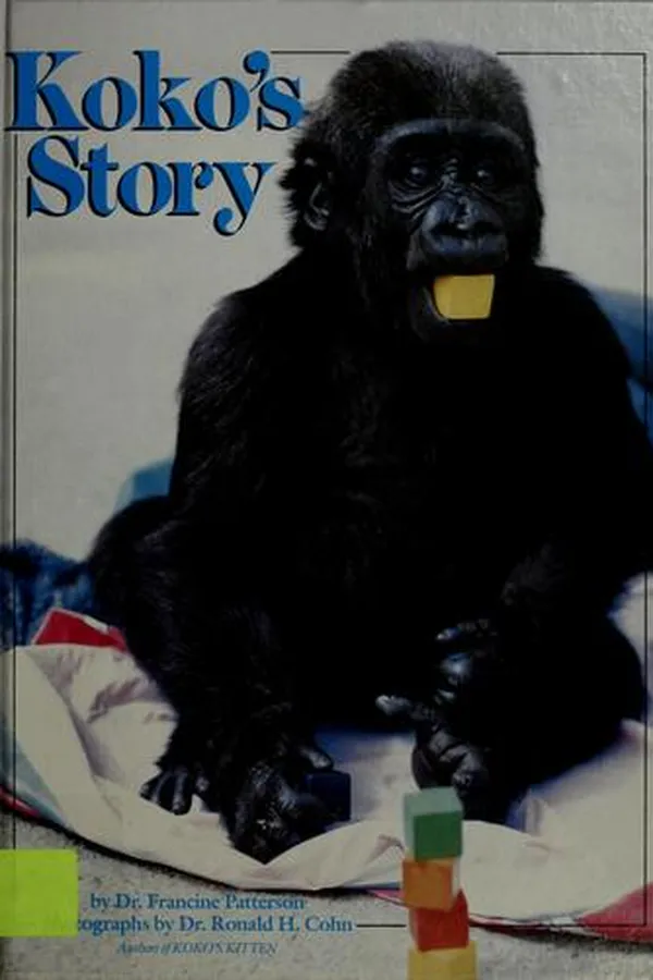 Capa de Koko's story