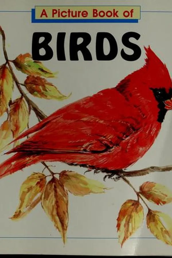 Capa de A picture book of birds