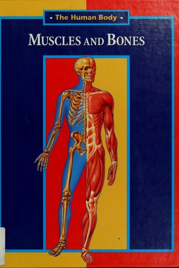Capa de Muscles and bones
