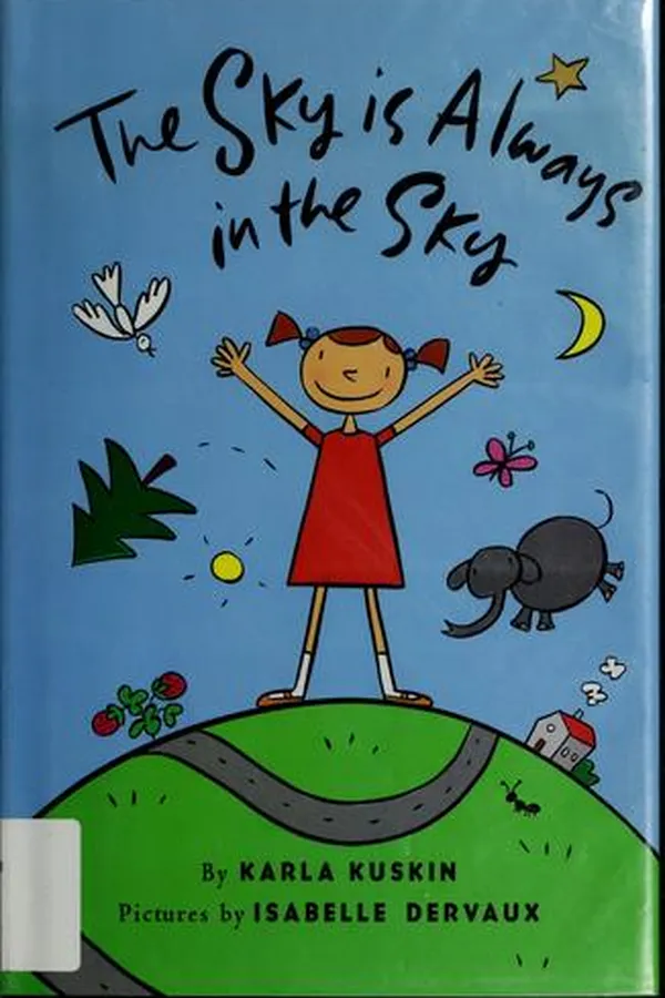 Capa de The sky is always in the sky
