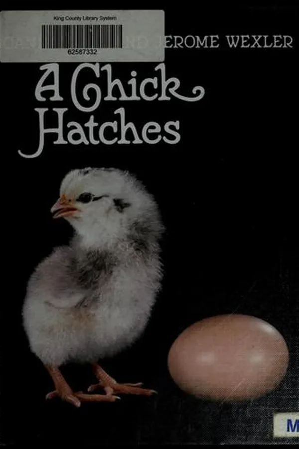 Capa de A chick hatches