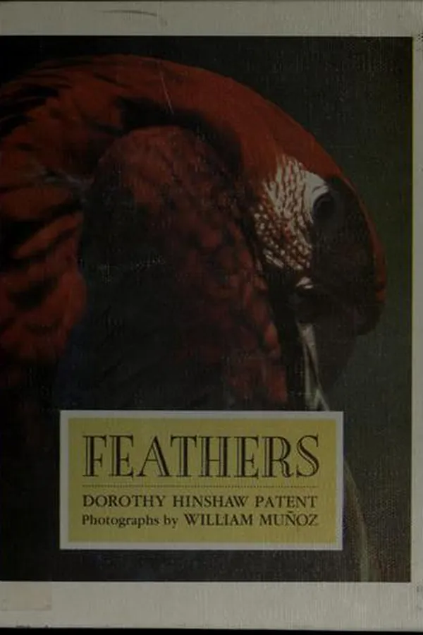 Capa de Feathers